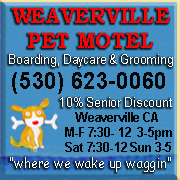 weaverville_pet_motel