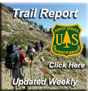 trail_report